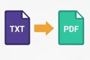 this image is text to pdf converter tool home page button